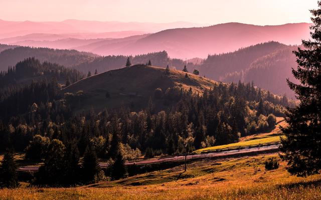 Boekovina